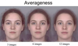 平均脸,探索人类面部特征的和谐统一